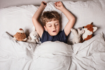 Cute little boy sleeping peacefully in bed, holding soft stuffed animals. Cozy childhood bedtime...