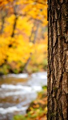 Fototapeta premium Autumnal tree trunk by a flowing stream