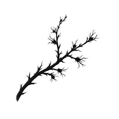 Fototapeta premium Elegant Twisting Branch with Delicate Leaves in Minimalist Style