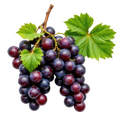 Fototapeta premium Fresh Bunch of Dark Purple Grapes with Green Leaves Transparent background