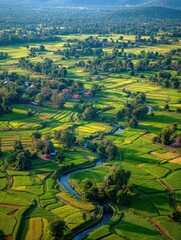 Expansive aerial view of vibrant green rice paddies a winding river and scattered rural villages
