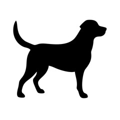 Dog: The Loyal Companion and Beloved Pet