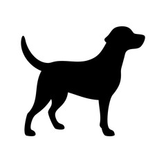 Dog: The Loyal Companion and Beloved Pet