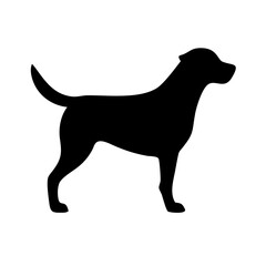 Dog: The Loyal Companion and Beloved Pet