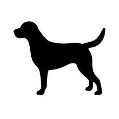 Dog: The Loyal Companion and Beloved Pet