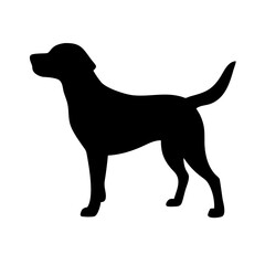 Dog: The Loyal Companion and Beloved Pet