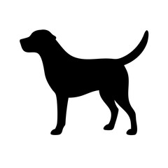 Dog: The Loyal Companion and Beloved Pet