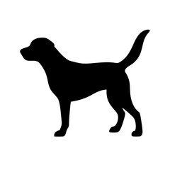 Dog: The Loyal Companion and Beloved Pet