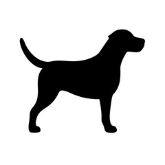 Dog: The Loyal Companion and Beloved Pet