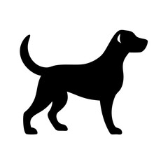 Dog: The Loyal Companion and Beloved Pet