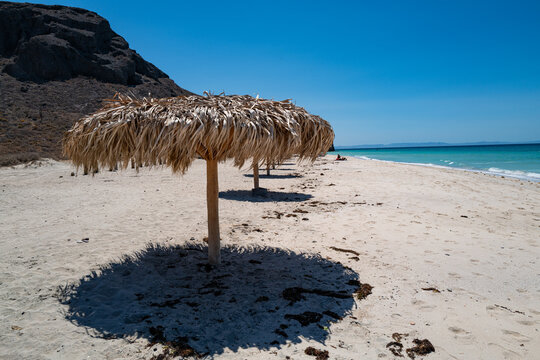 Closeup photo of a beach palapa (palm-thatched shelter) umbrella on Tecolote Beach, in La Paz, BCS Mexico.