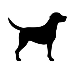 Dog: The Loyal Companion and Beloved Pet