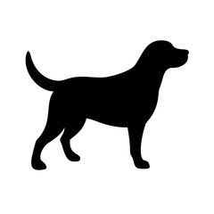 Dog: The Loyal Companion and Beloved Pet