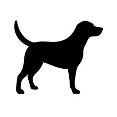 Dog: The Loyal Companion and Beloved Pet