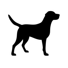 Dog: The Loyal Companion and Beloved Pet