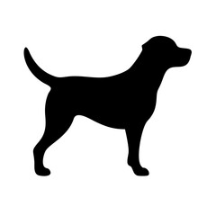 Dog: The Loyal Companion and Beloved Pet