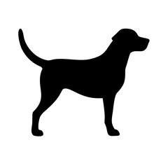 Dog: The Loyal Companion and Beloved Pet