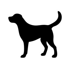 Dog: The Loyal Companion and Beloved Pet