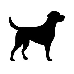 Dog: The Loyal Companion and Beloved Pet