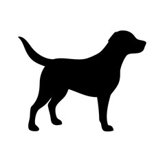 Dog: The Loyal Companion and Beloved Pet