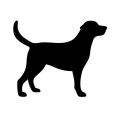 Dog: The Loyal Companion and Beloved Pet