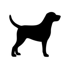 Dog: The Loyal Companion and Beloved Pet