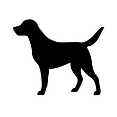 Dog: The Loyal Companion and Beloved Pet