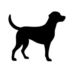 Dog: The Loyal Companion and Beloved Pet