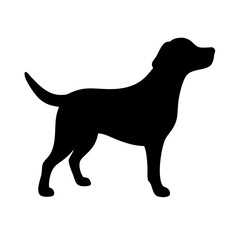 Dog: The Loyal Companion and Beloved Pet