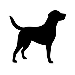 Dog: The Loyal Companion and Beloved Pet