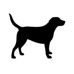 Dog: The Loyal Companion and Beloved Pet