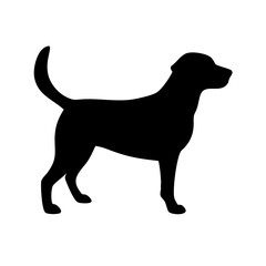 Dog: The Loyal Companion and Beloved Pet