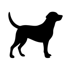 Dog: The Loyal Companion and Beloved Pet