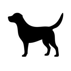 Dog: The Loyal Companion and Beloved Pet