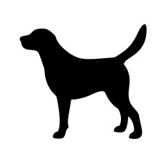 Dog: The Loyal Companion and Beloved Pet