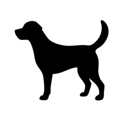 Dog: The Loyal Companion and Beloved Pet