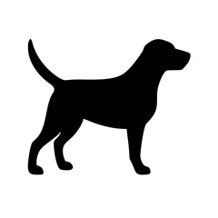 Dog: The Loyal Companion and Beloved Pet