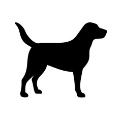 Dog: The Loyal Companion and Beloved Pet