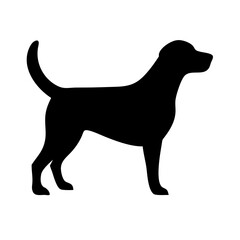 Dog: The Loyal Companion and Beloved Pet