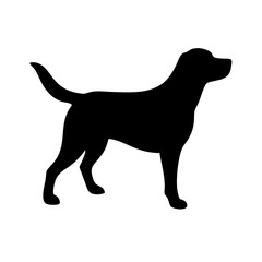 Dog: The Loyal Companion and Beloved Pet