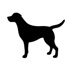 Dog: The Loyal Companion and Beloved Pet