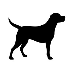 Dog: The Loyal Companion and Beloved Pet