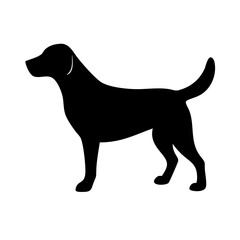 Dog: The Loyal Companion and Beloved Pet