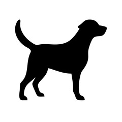 Dog: The Loyal Companion and Beloved Pet