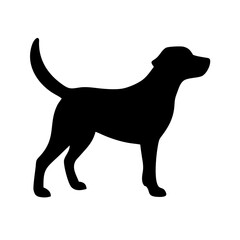 Dog: The Loyal Companion and Beloved Pet