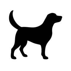 Dog: The Loyal Companion and Beloved Pet