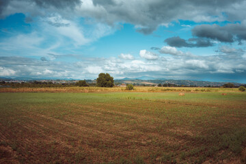 Obraz premium Rural landscape of cultivated fields