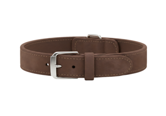 Brown Leather Belt with Silver Buckle