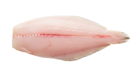 Closeup of a fresh sole fillet isolated on transparent background, perfect for healthy eating and gourmet recipes, showcasing its delicate texture and nutritional value for culinary creations