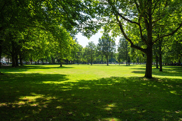 Obraz premium Lush Green Park in Hamburg, Germany on a Summer Day